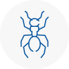 Ant Removals In Crosby
