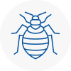 Bed Bug Extermination In Crosby