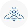 Bee Nest Removal Crosby