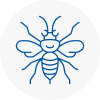 Crosby Hornet Nest Removals