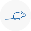 Mice Exterminators In Crosby