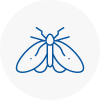 Moth Control Specialists In Crosby