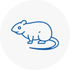 Rat Control Crosby