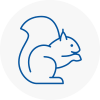 Crosby Rodent Removals