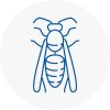 Crosby Wasp Nest Removal